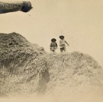 Omc1985.008.078 Image 600dpi